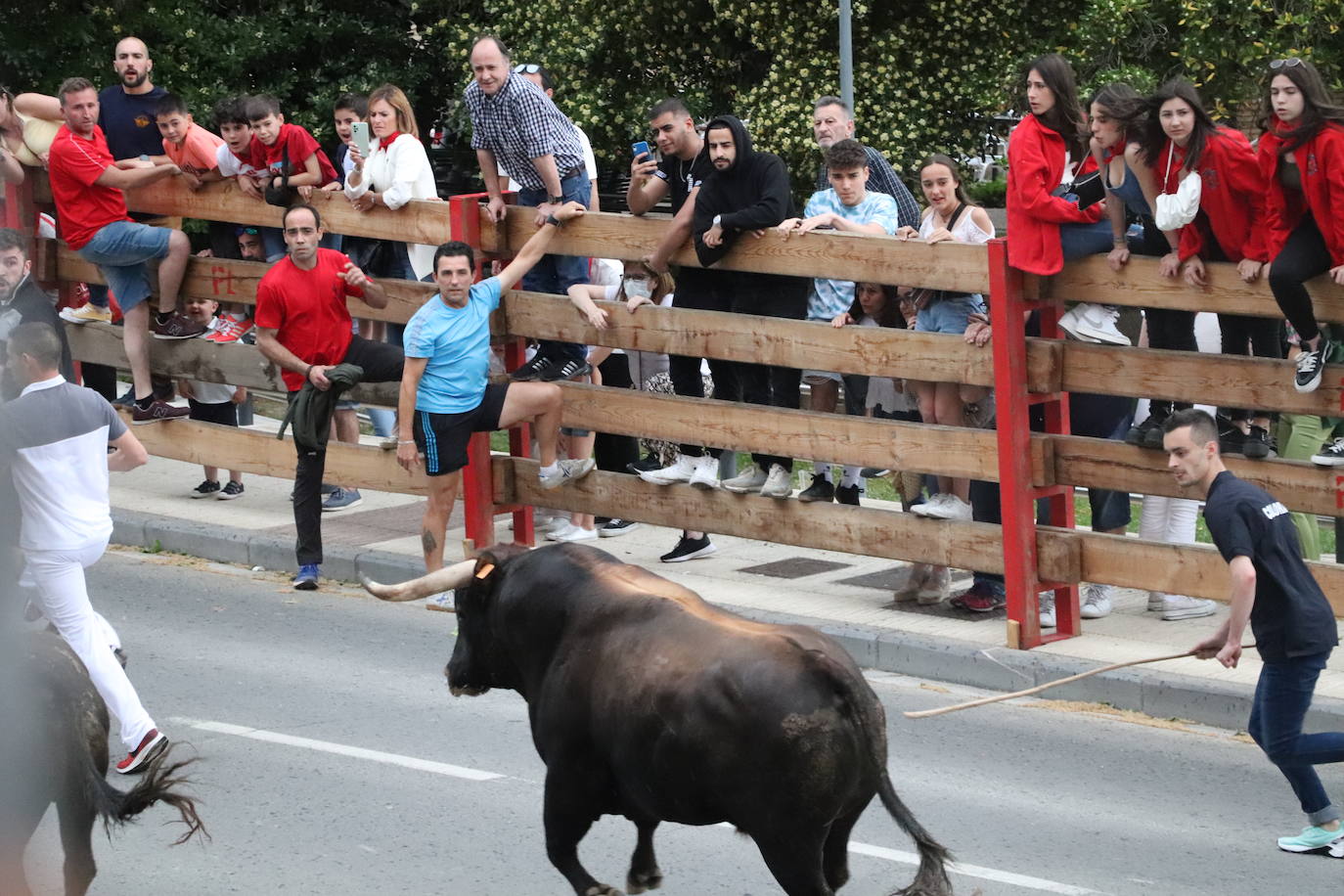 Fotos: Alfaro disfruta se la segunda jornada de las fiestas de Primavera