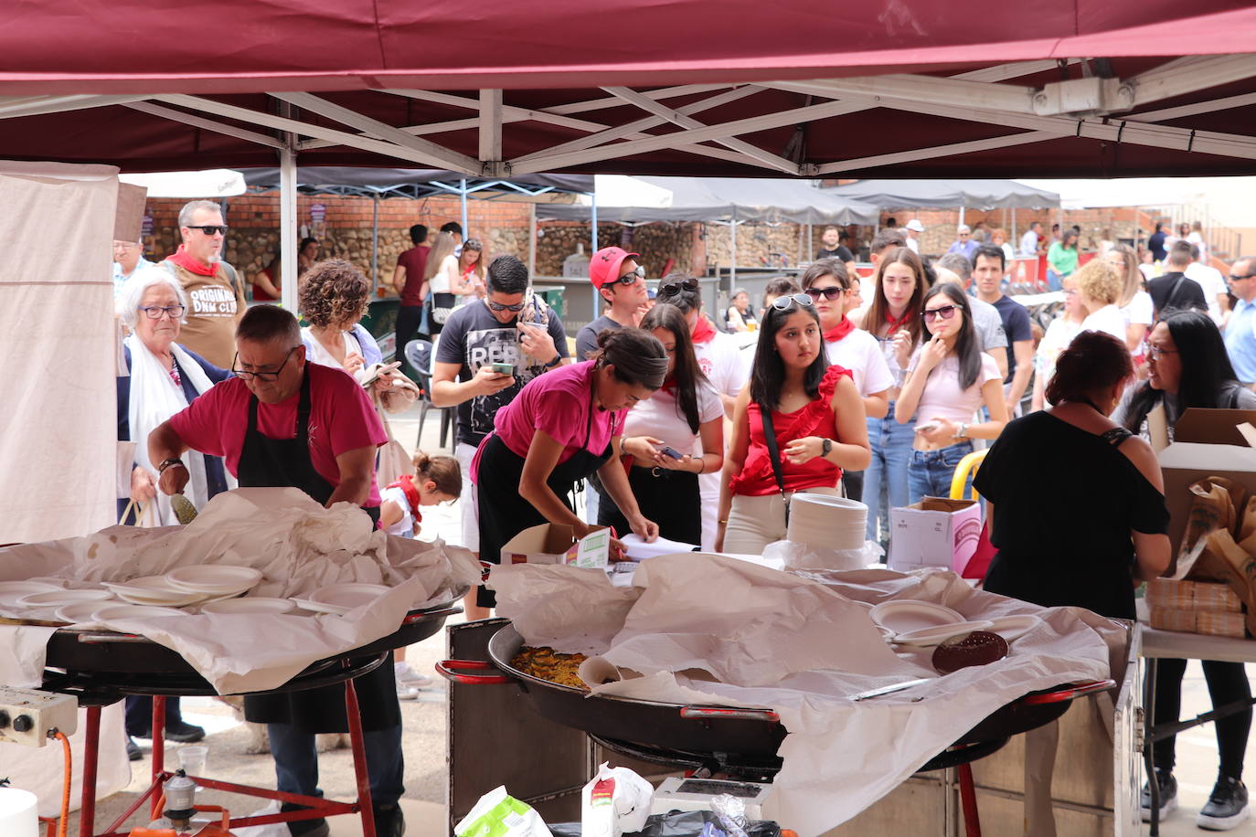 Fotos: Alfaro disfruta se la segunda jornada de las fiestas de Primavera