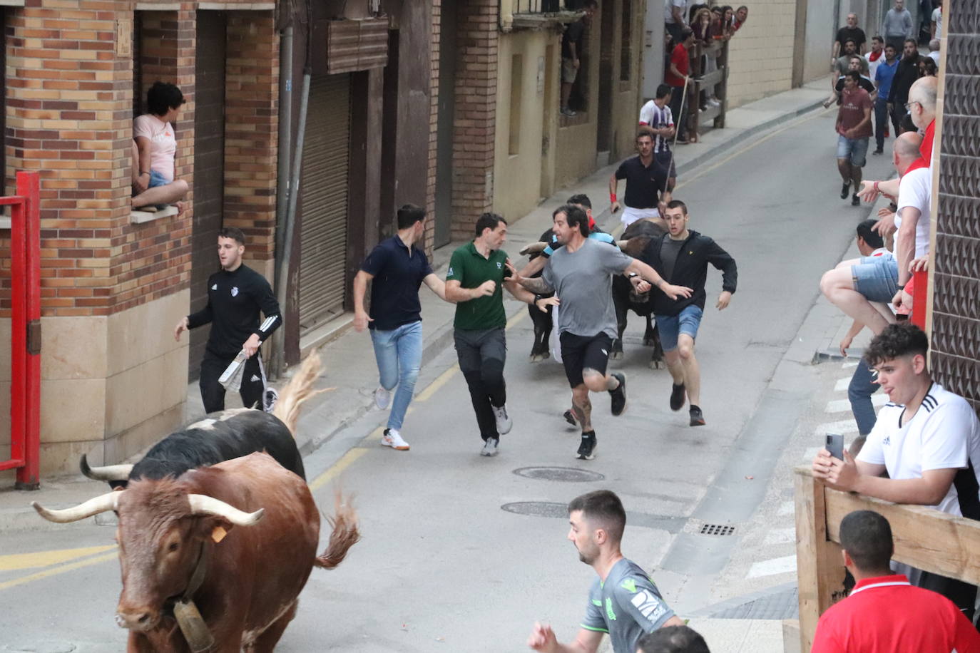 Fotos: Alfaro disfruta se la segunda jornada de las fiestas de Primavera