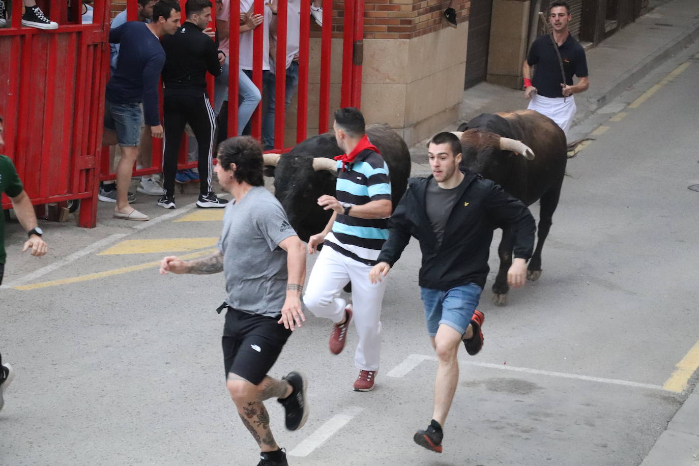 Fotos: Alfaro disfruta se la segunda jornada de las fiestas de Primavera