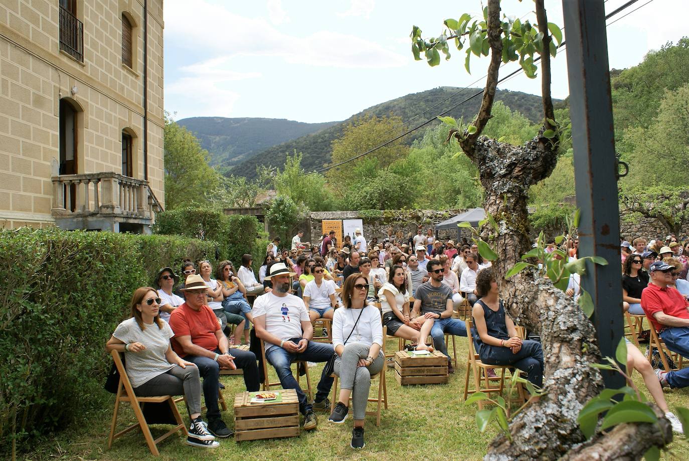 Fotos: Viniegra de Abajo vibra con el festival Sierra Sonora