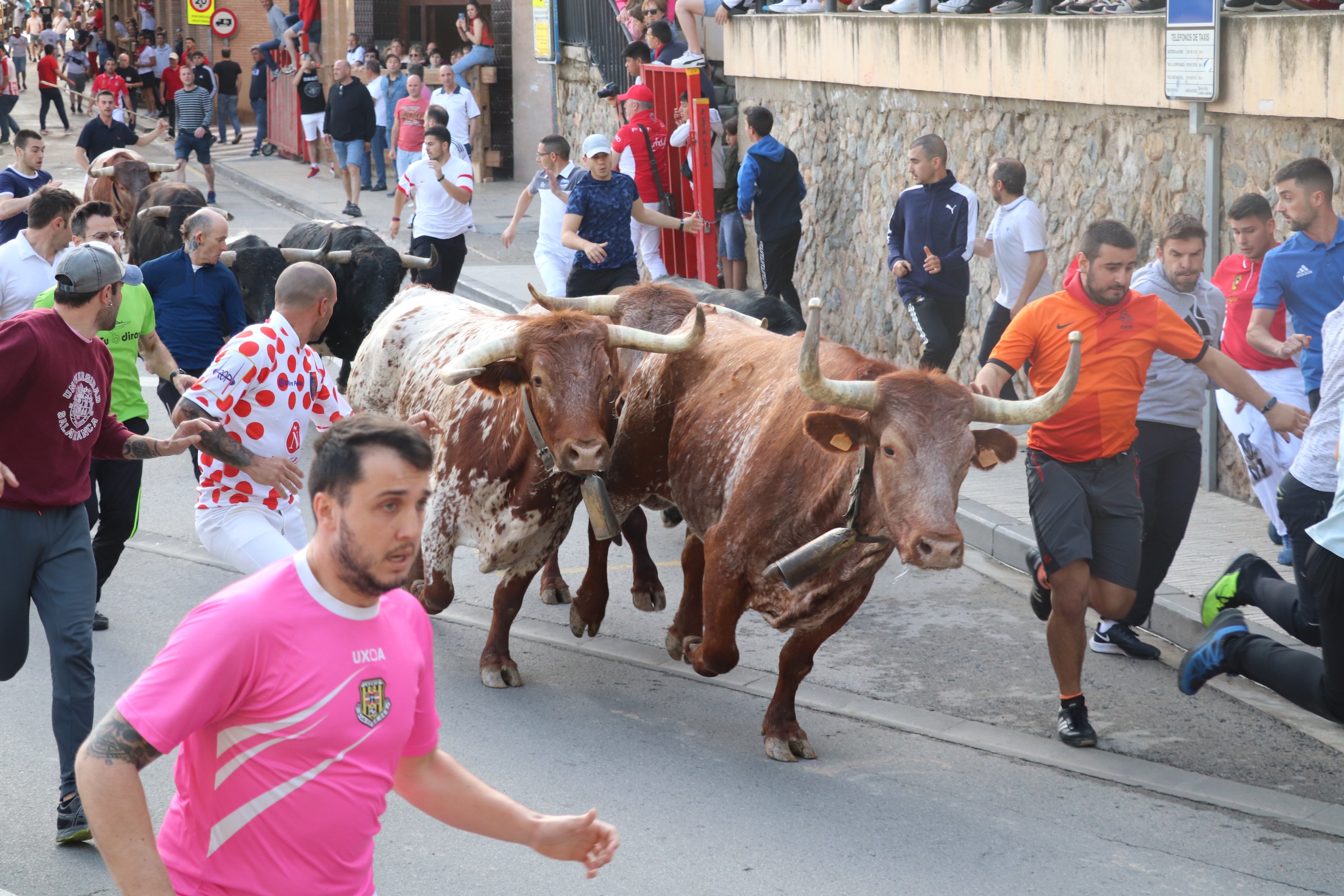 Fotos: Alfaro vive la alegría de San Isidro