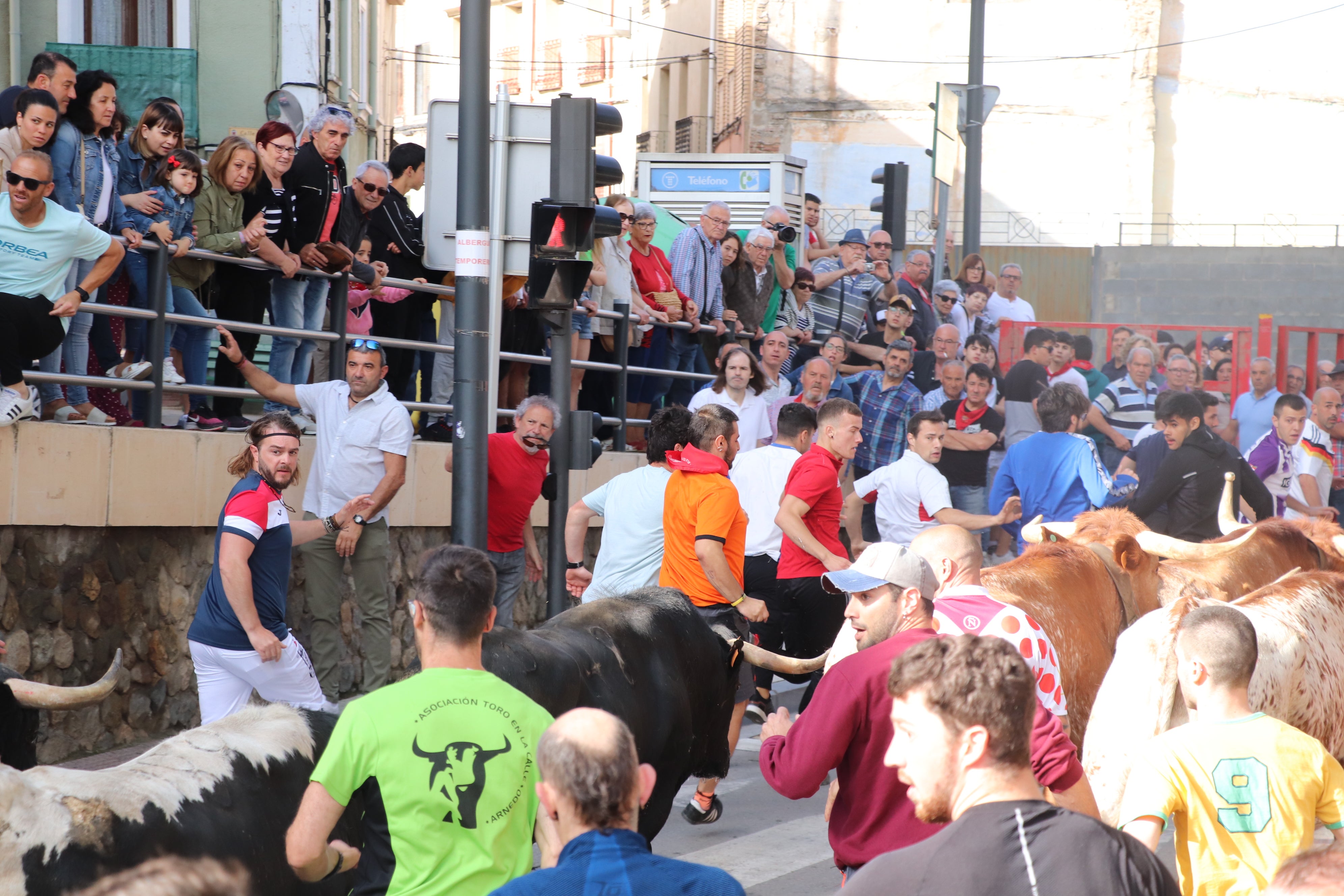 Fotos: Alfaro vive la alegría de San Isidro