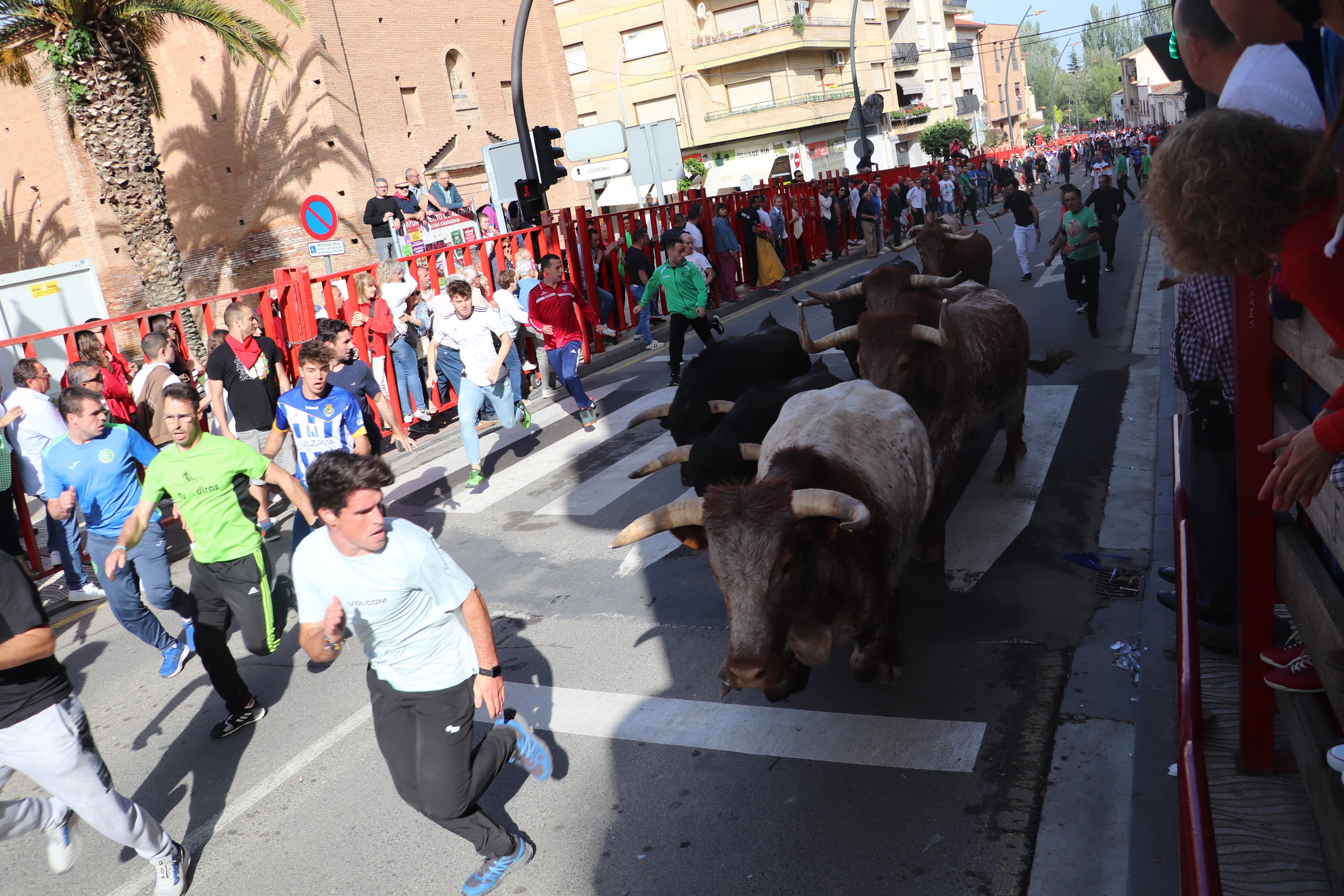 Fotos: Alfaro vive la alegría de San Isidro