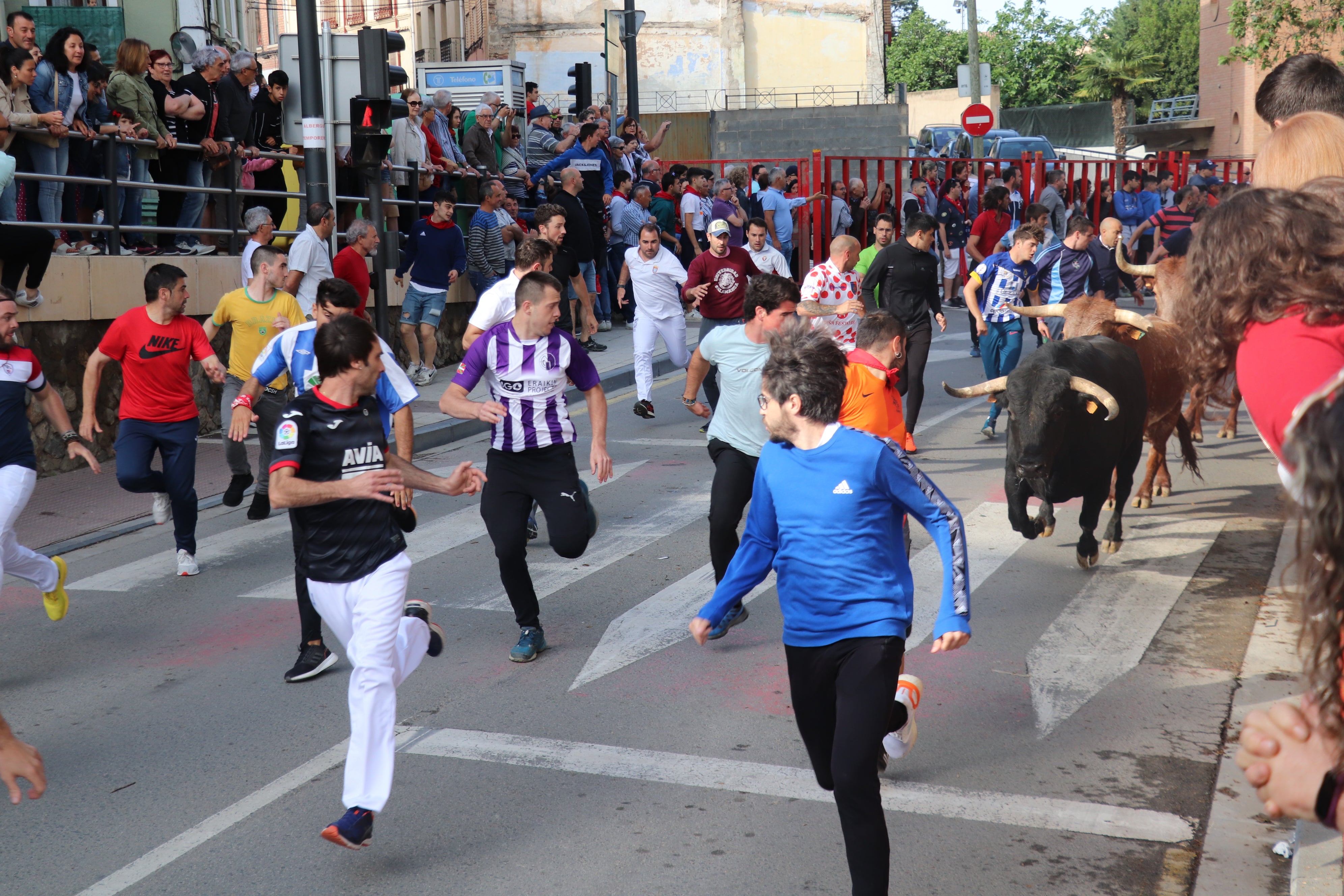 Fotos: Alfaro vive la alegría de San Isidro