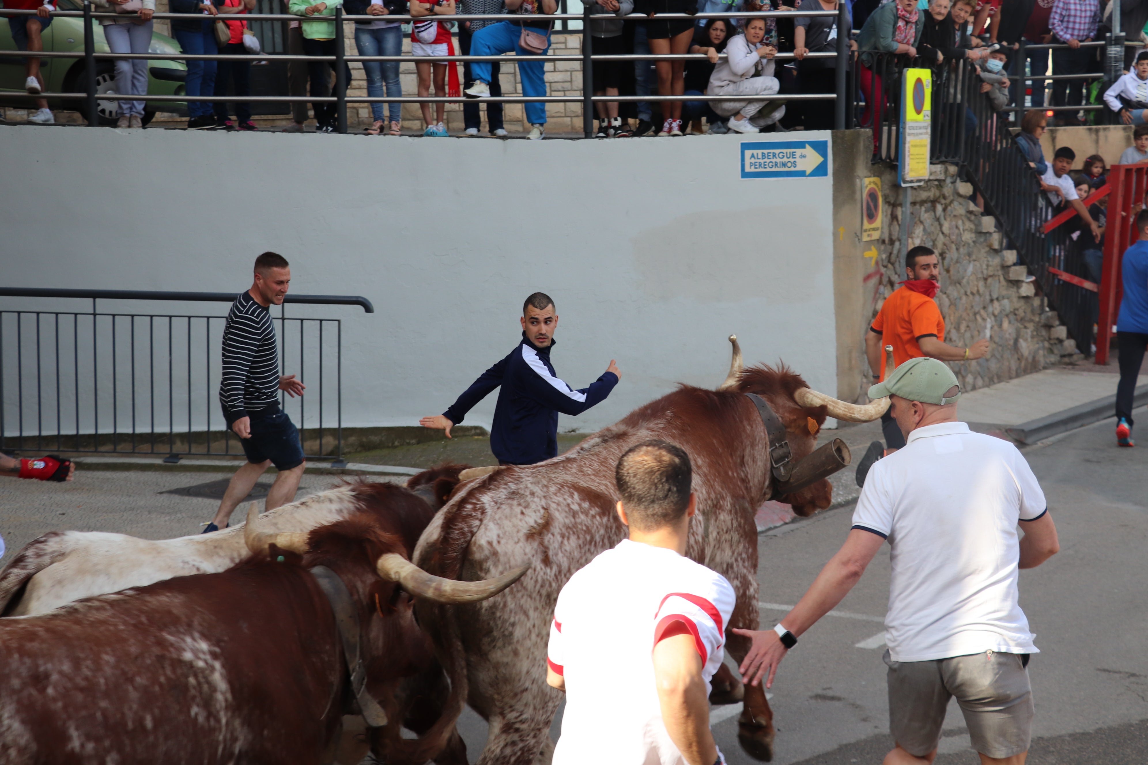 Fotos: Alfaro vive la alegría de San Isidro