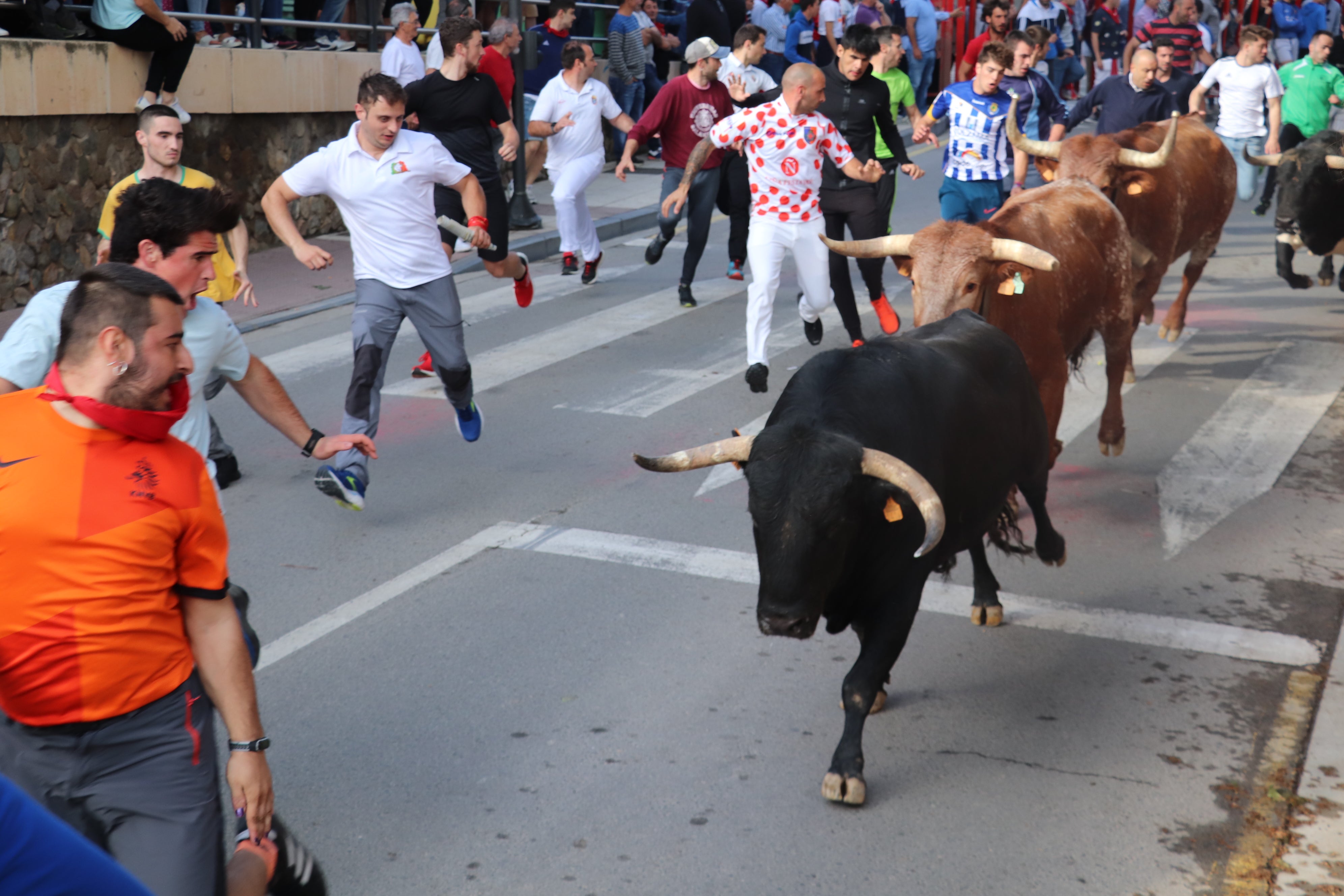 Fotos: Alfaro vive la alegría de San Isidro