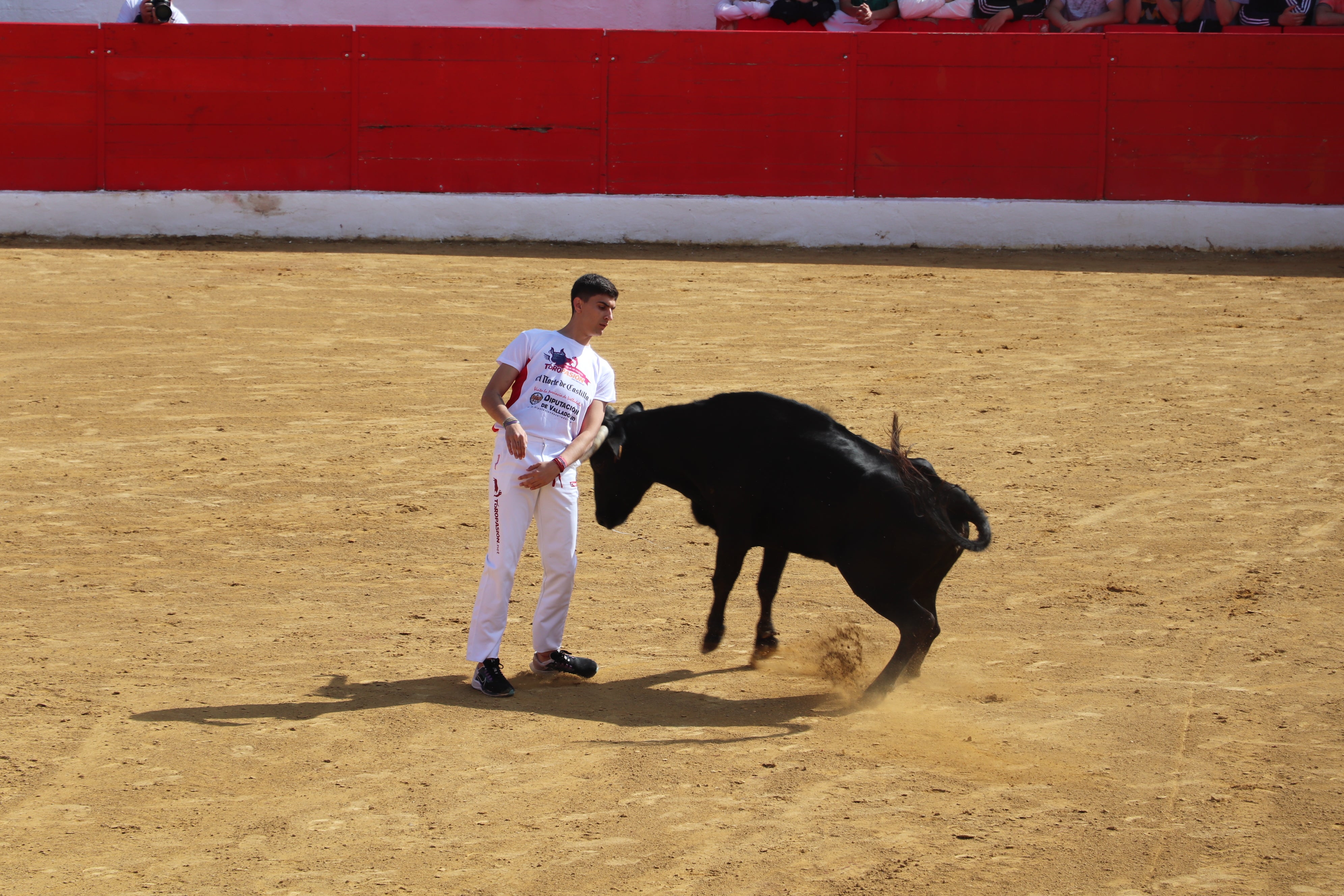 Fotos: Alfaro vive la alegría de San Isidro