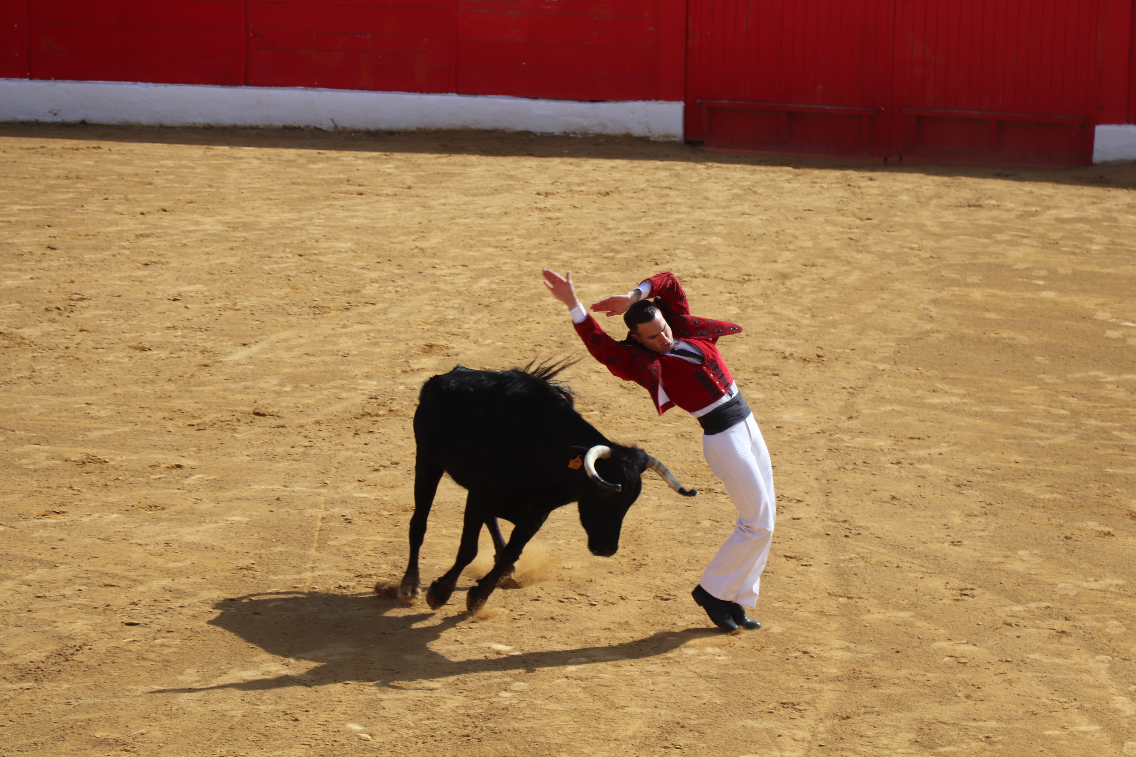 Fotos: Alfaro vive la alegría de San Isidro