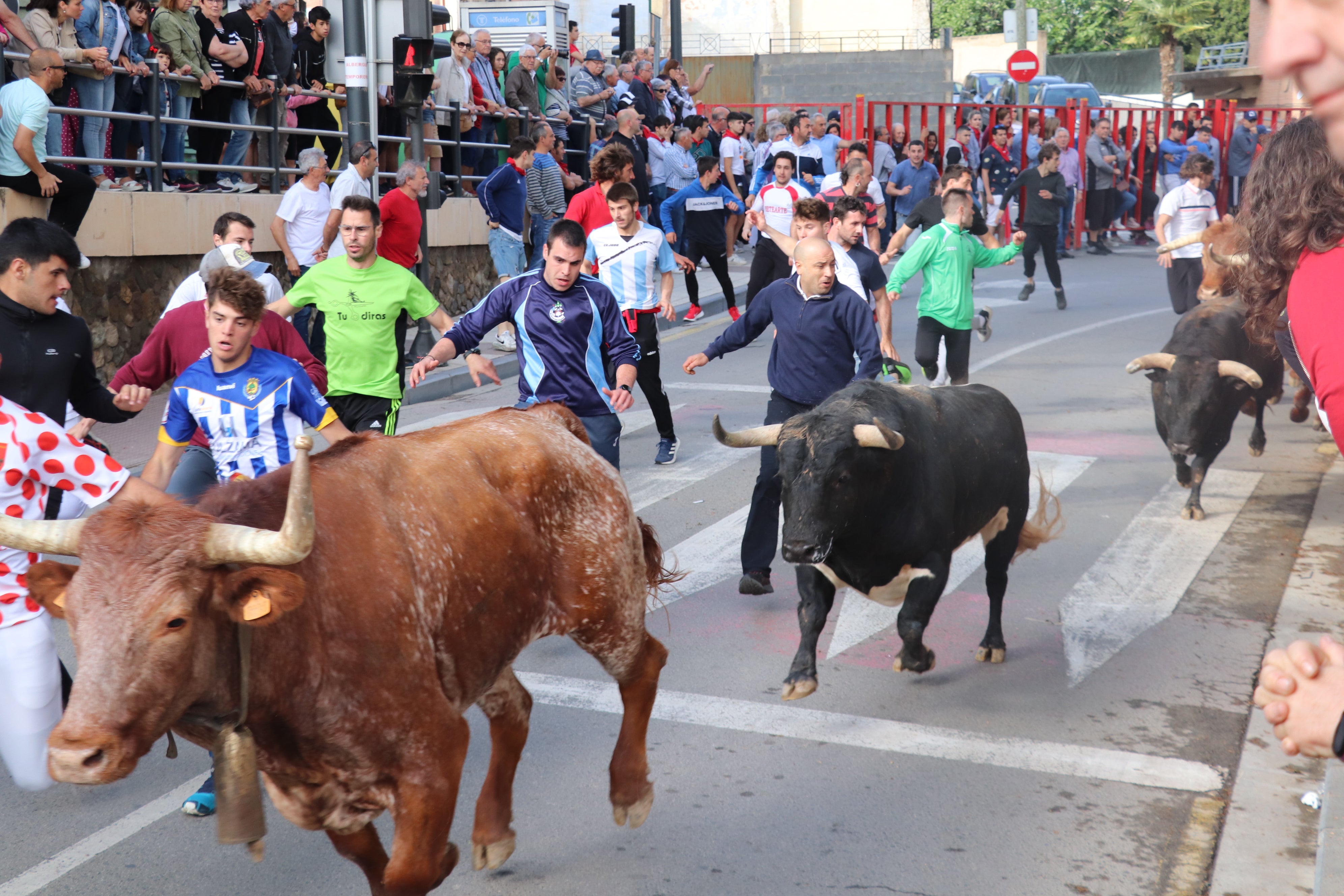 Fotos: Alfaro vive la alegría de San Isidro