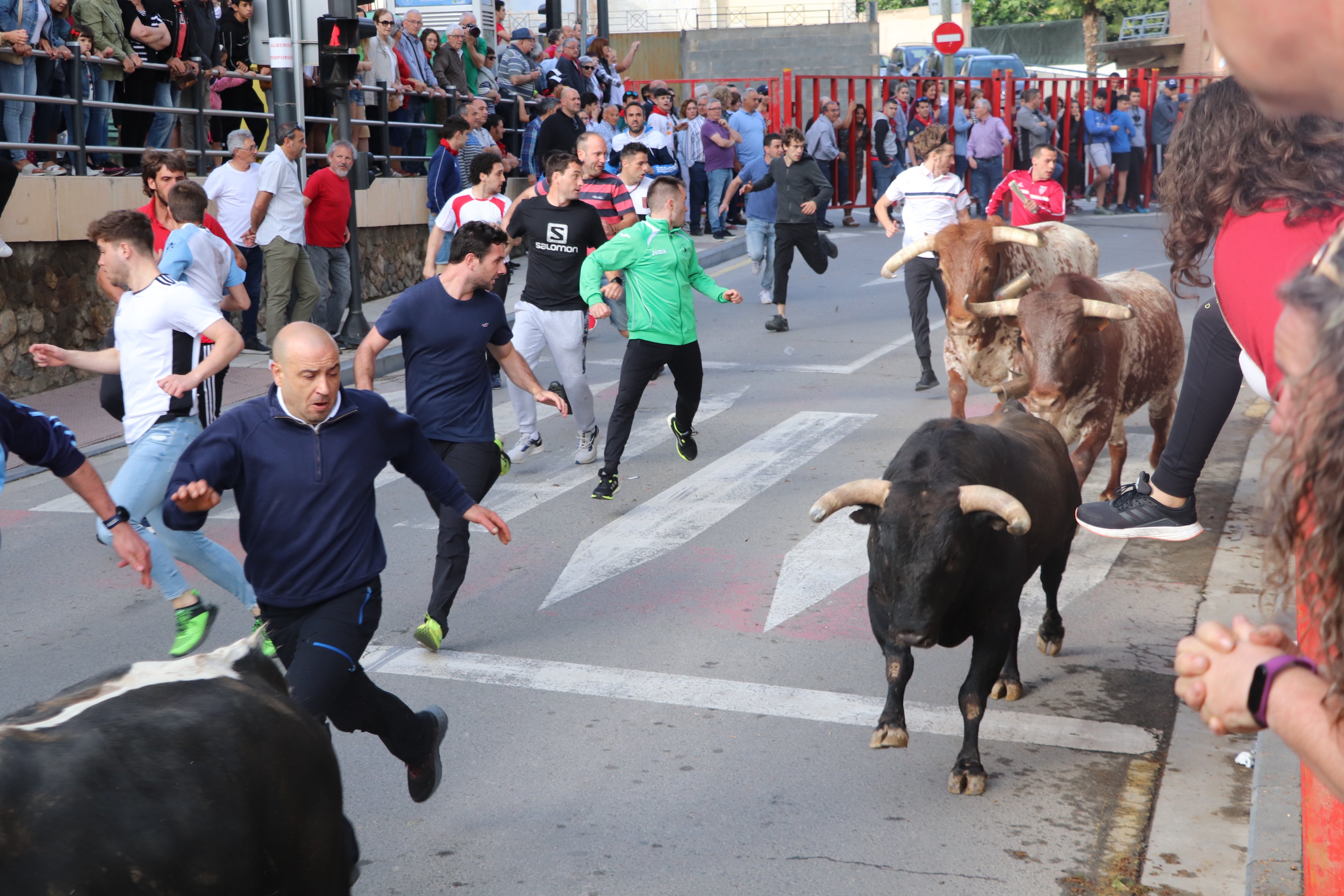 Fotos: Alfaro vive la alegría de San Isidro