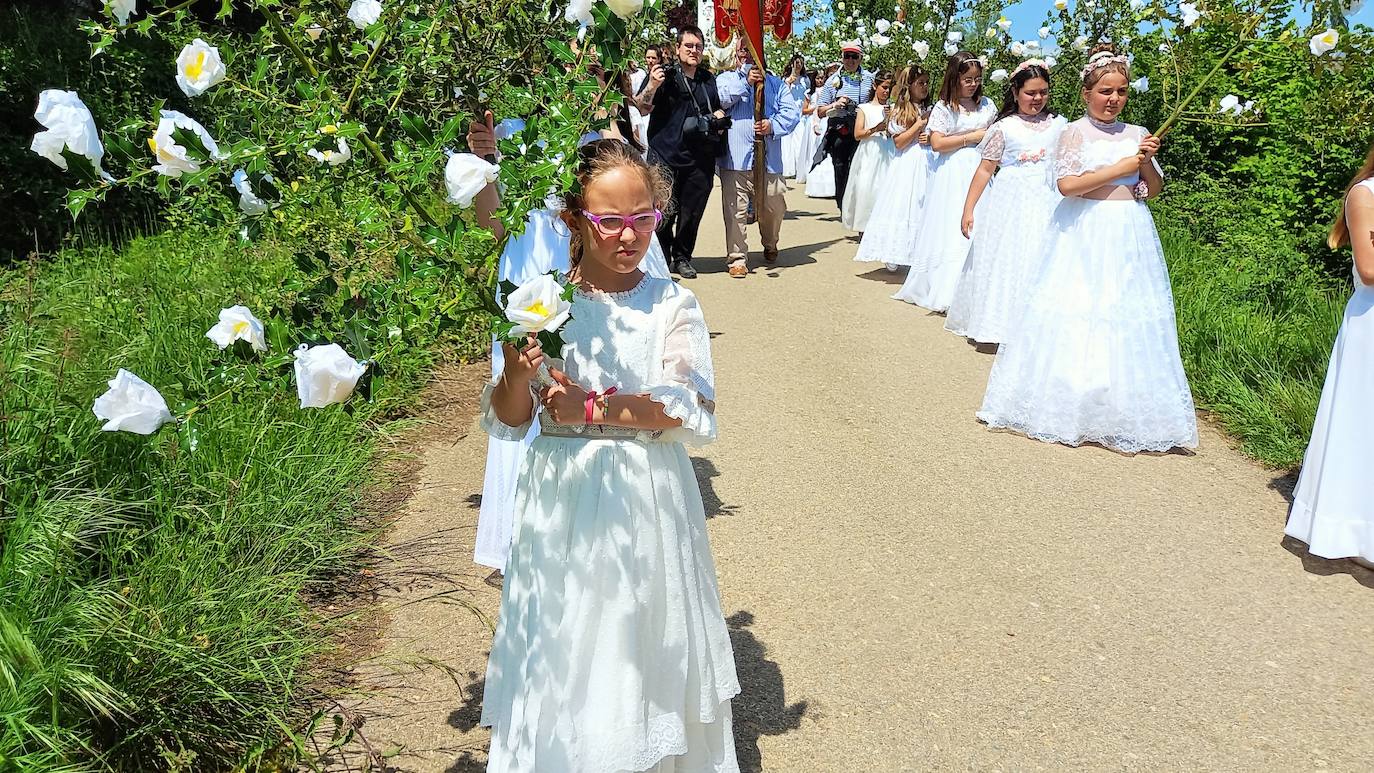 Fotos: Romería de las doncellas de Sorzano