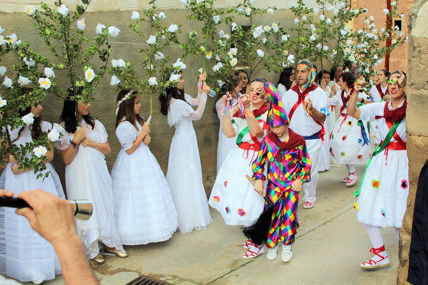 Fotos: Romería de las doncellas de Sorzano