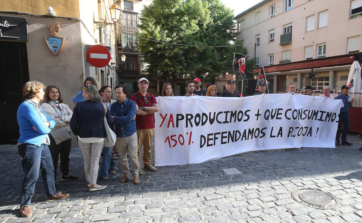 Representantes de plataformas y agrupaciones agrarias, frente al Parlamento. 