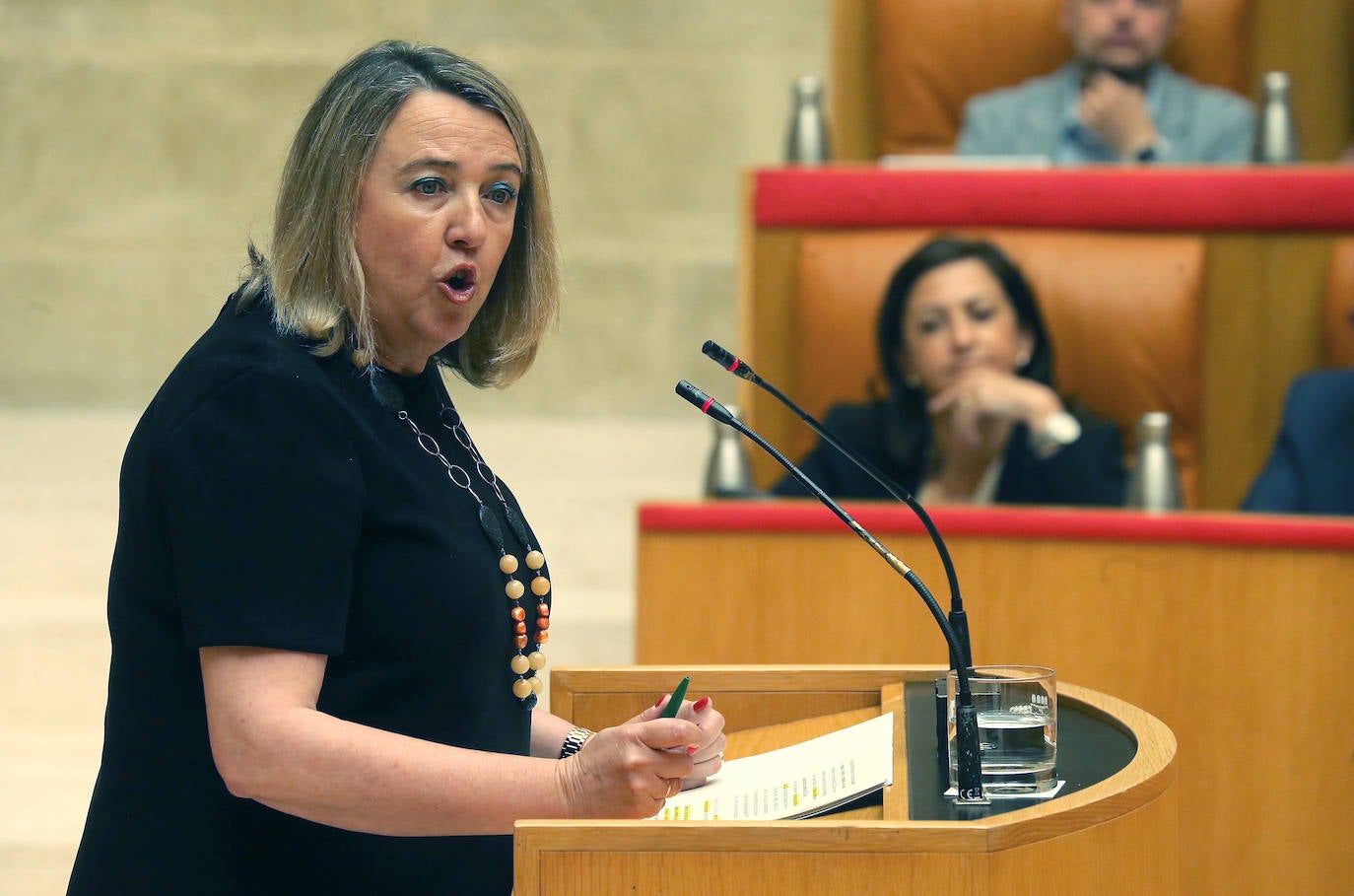 Fotos: Pleno del Parlamento de La Rioja