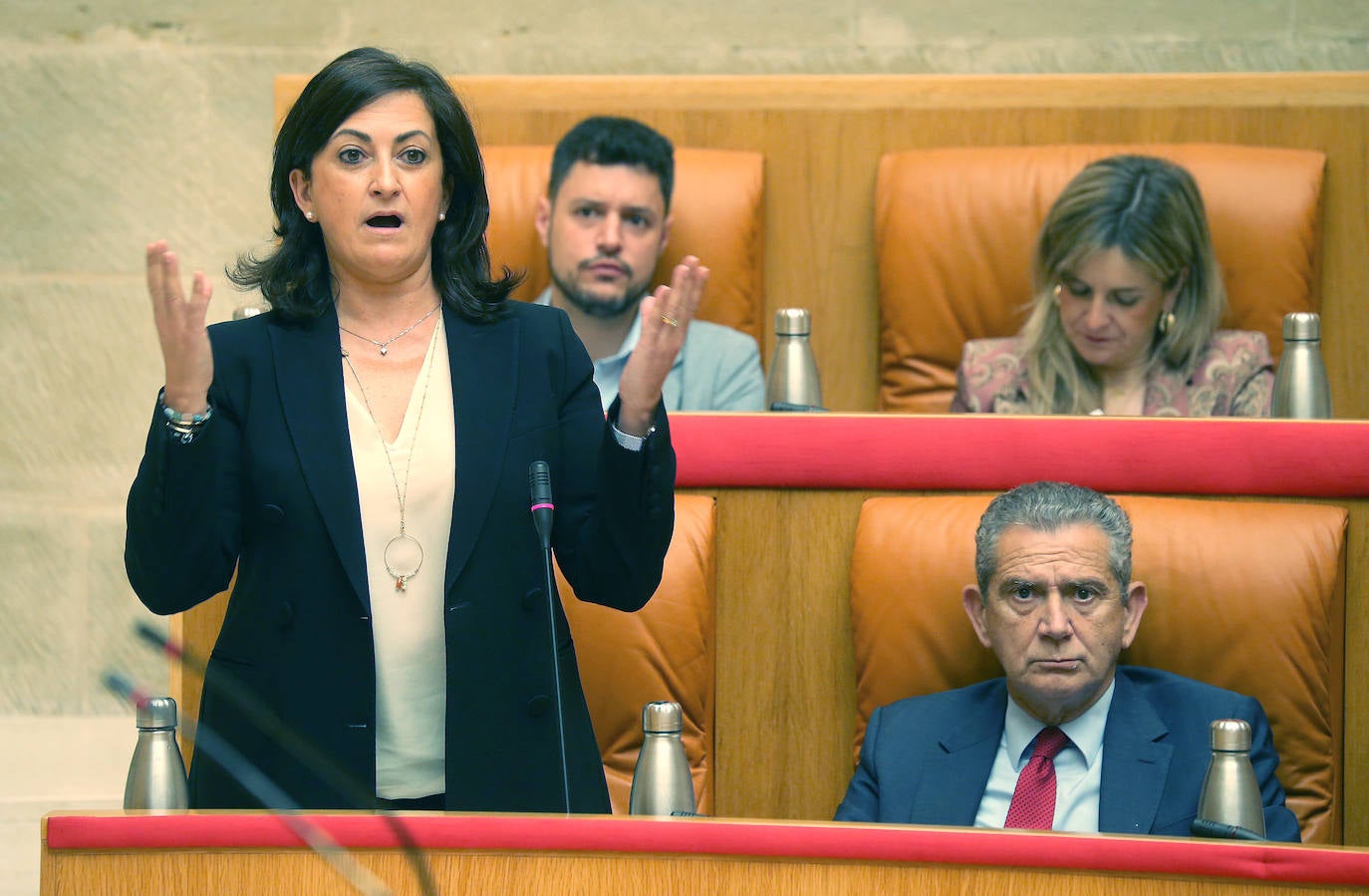 Fotos: Pleno del Parlamento de La Rioja