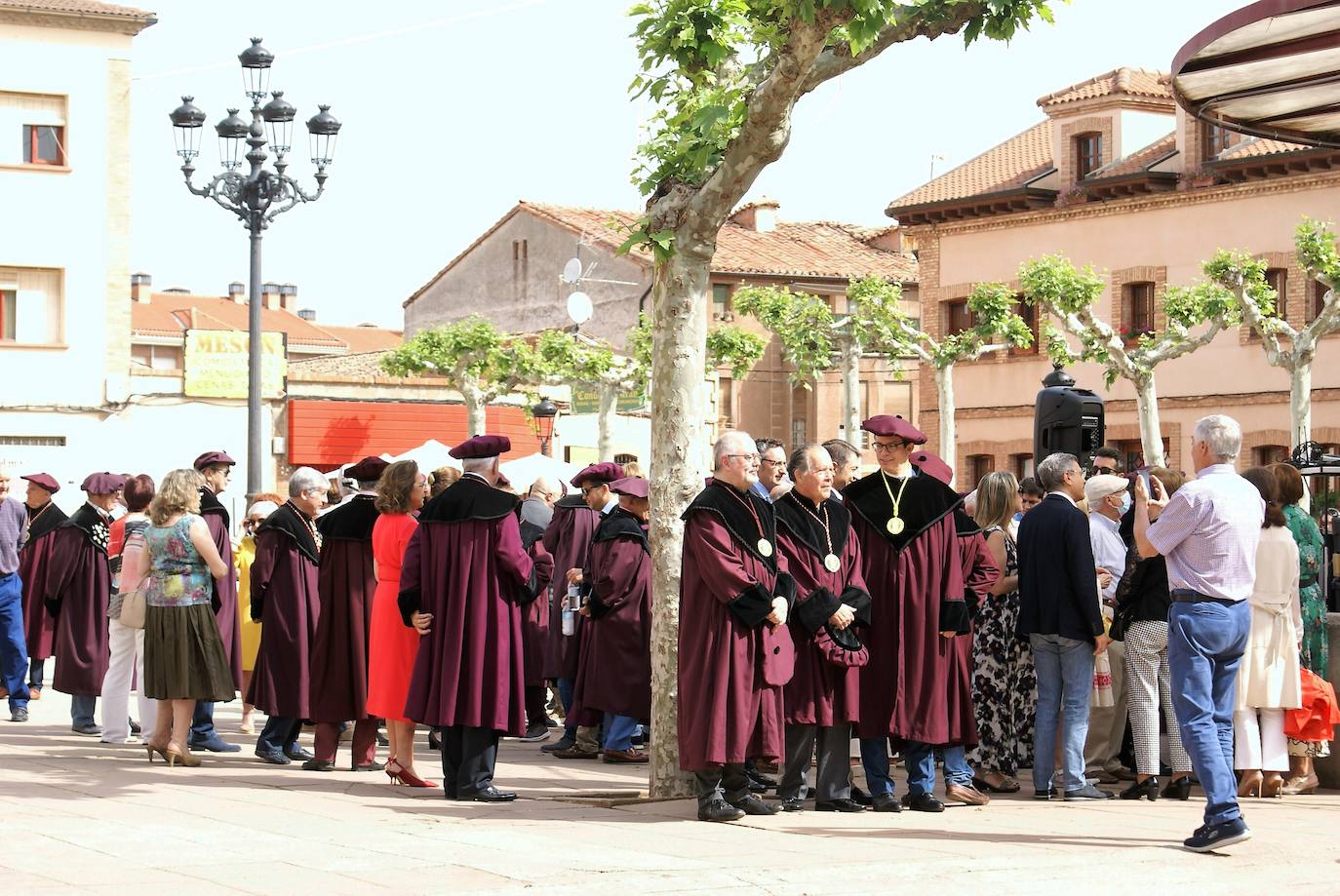 Fotos: La Cofradía del Vino nombró cofrade de mérito a todo el pueblo de Badarán