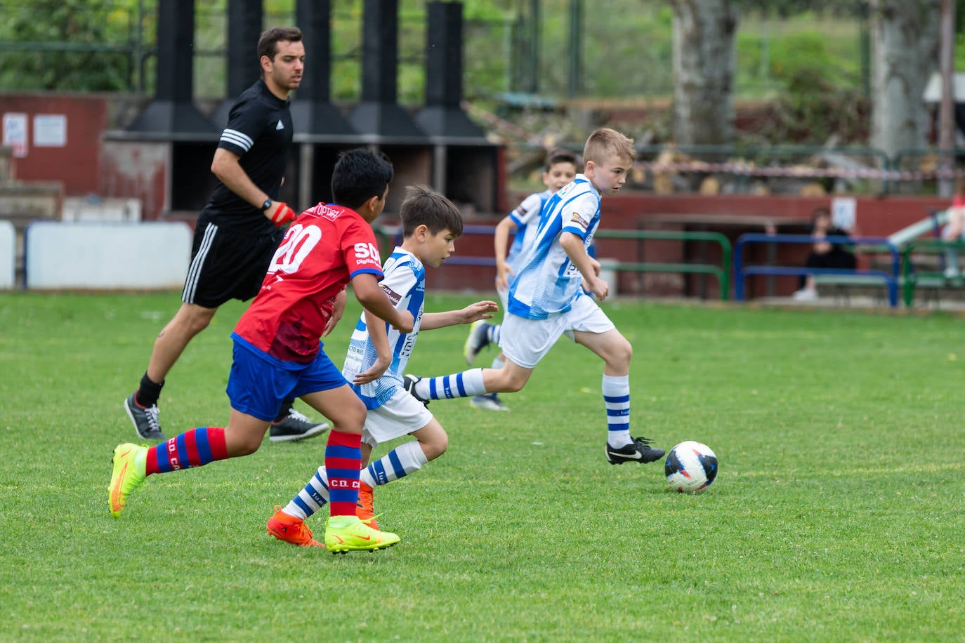 Fotos: Las imágenes del primer fin de semana del torneo Cantera del Berceo