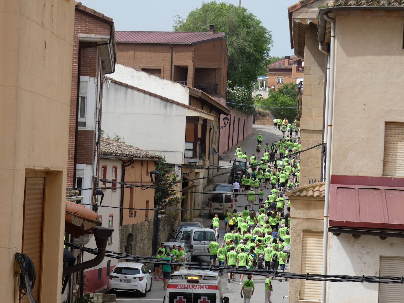 Fotos: San Asensio se tiñe de verde contra el COVID Persistente