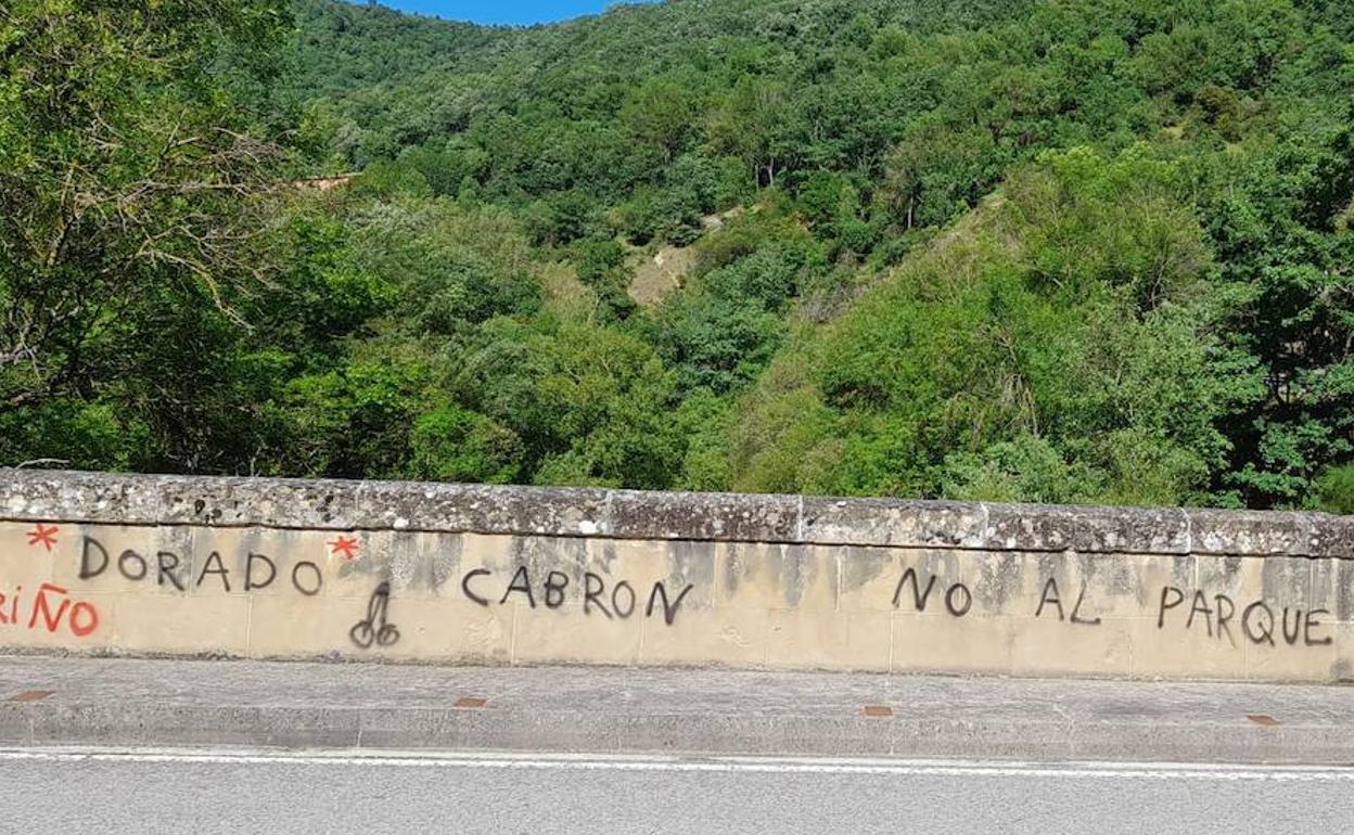 Una de las pintadas que han aparecido contra Álex Dorado. 