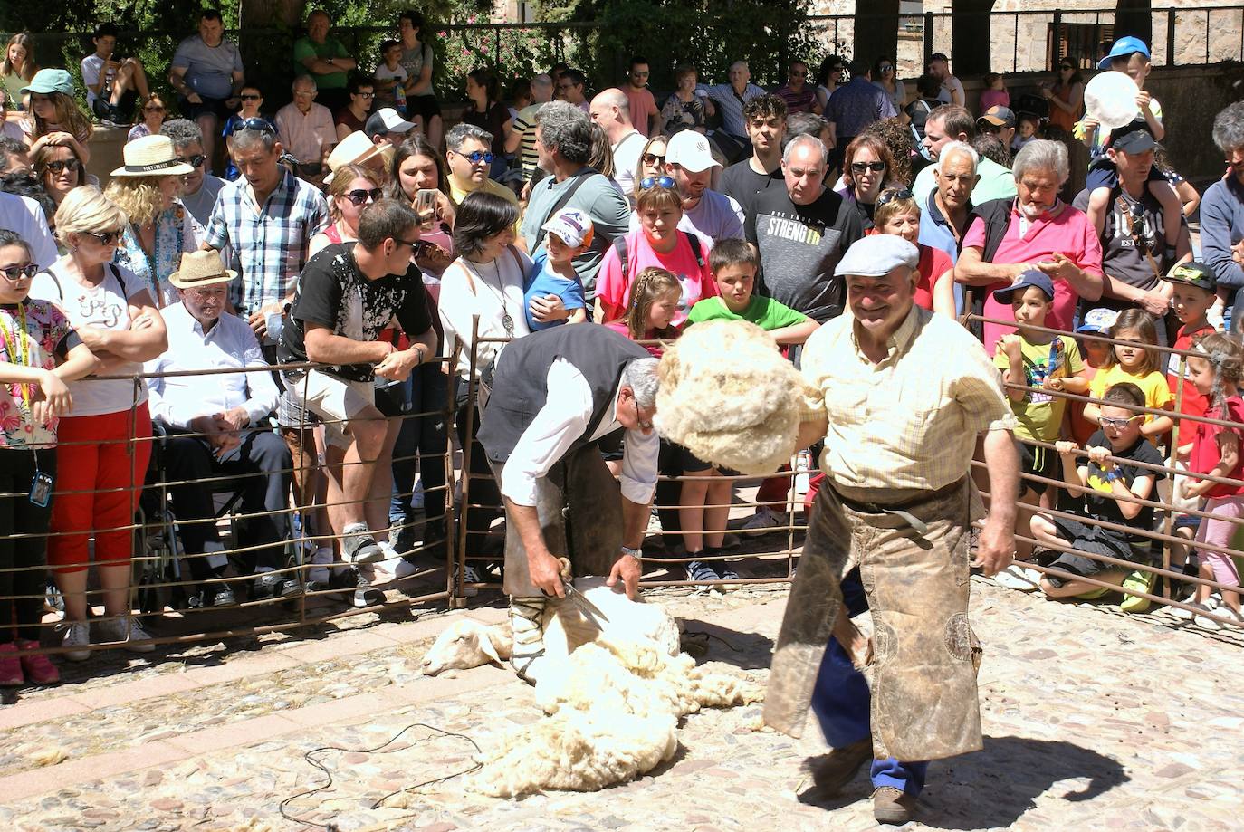 Fotos: Las ovejas, protagonistas de la gran fiesta de la trashumancia