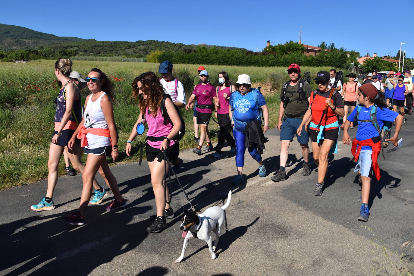 Fotos: Marcha por los pueblos de Ocón