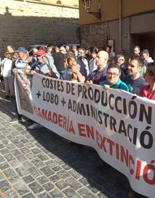 Imagen secundaria 2 - Decenas de ganaderos claman contra el lobo en el Parlamento