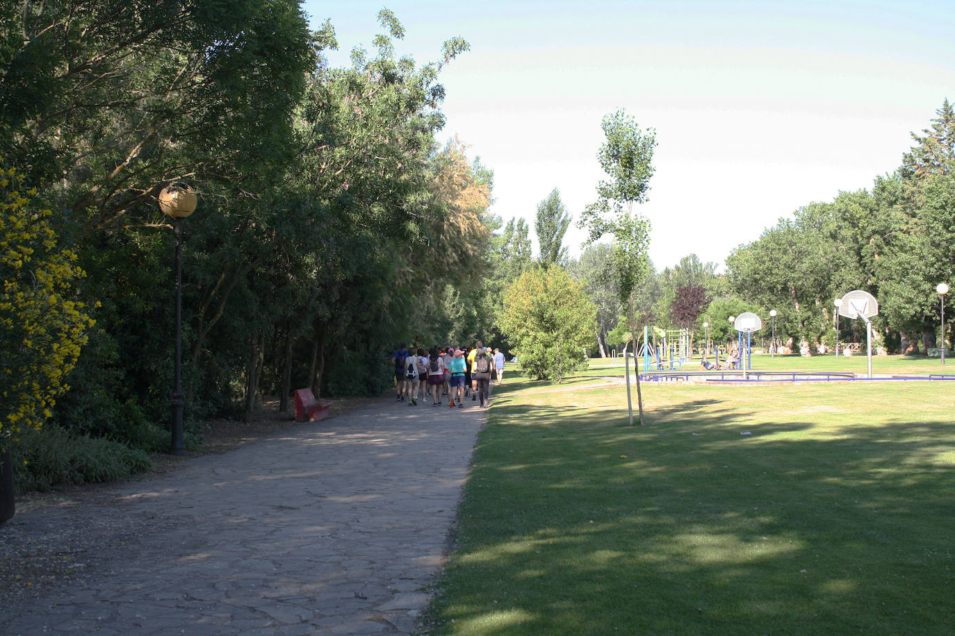 Fotos: Marcha de la AECC Arnedo-Arnedillo