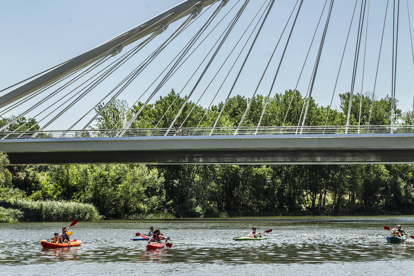 Fotos: Jornada didáctica en kayak para conocer la fauna del Ebro