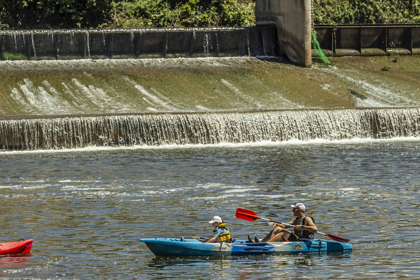 Fotos: Jornada didáctica en kayak para conocer la fauna del Ebro