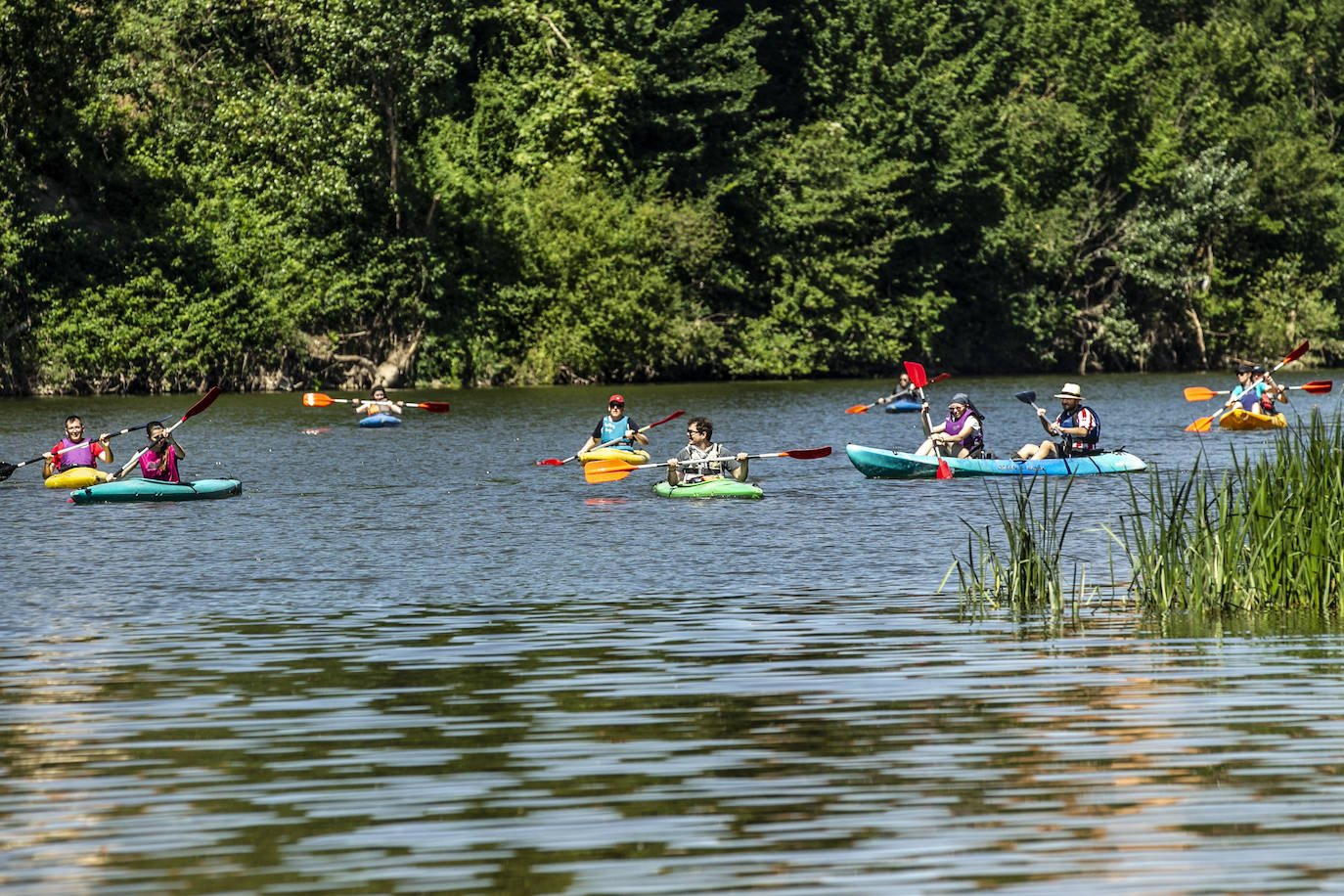 Fotos: Jornada didáctica en kayak para conocer la fauna del Ebro