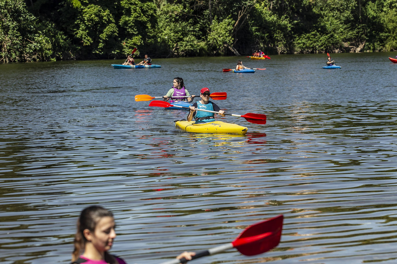 Fotos: Jornada didáctica en kayak para conocer la fauna del Ebro