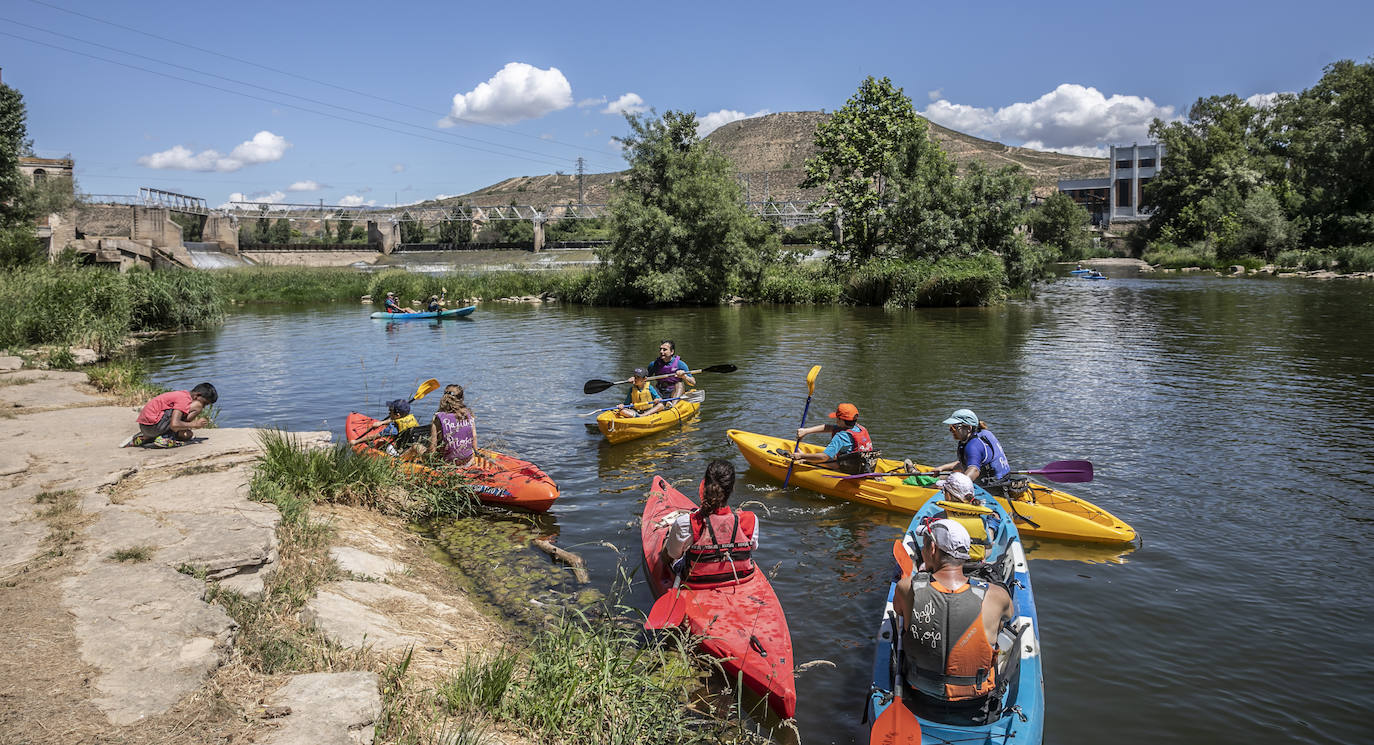 Fotos: Jornada didáctica en kayak para conocer la fauna del Ebro