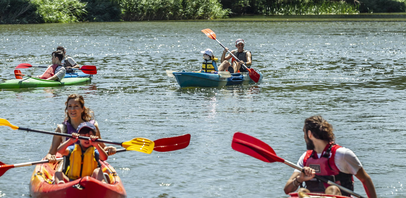 Fotos: Jornada didáctica en kayak para conocer la fauna del Ebro