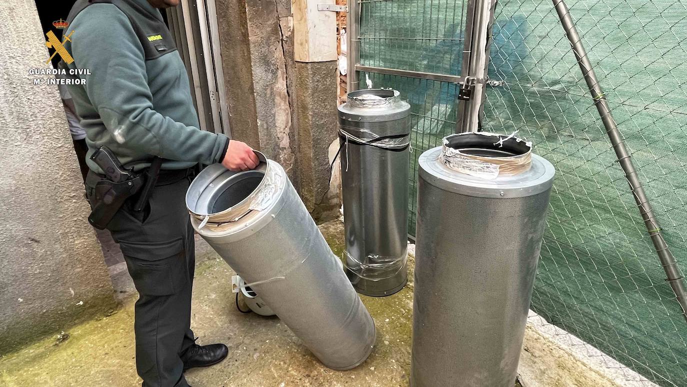 Fotos: Intervenidas 282 plantas de marihuana y 3,57 kilogramos de cogollos en Albelda