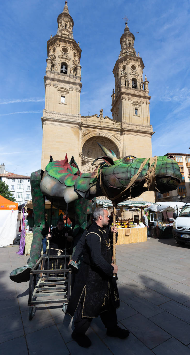 Fotos: Inauguración del campamento francés y del mercado renacentista de San Bernabé