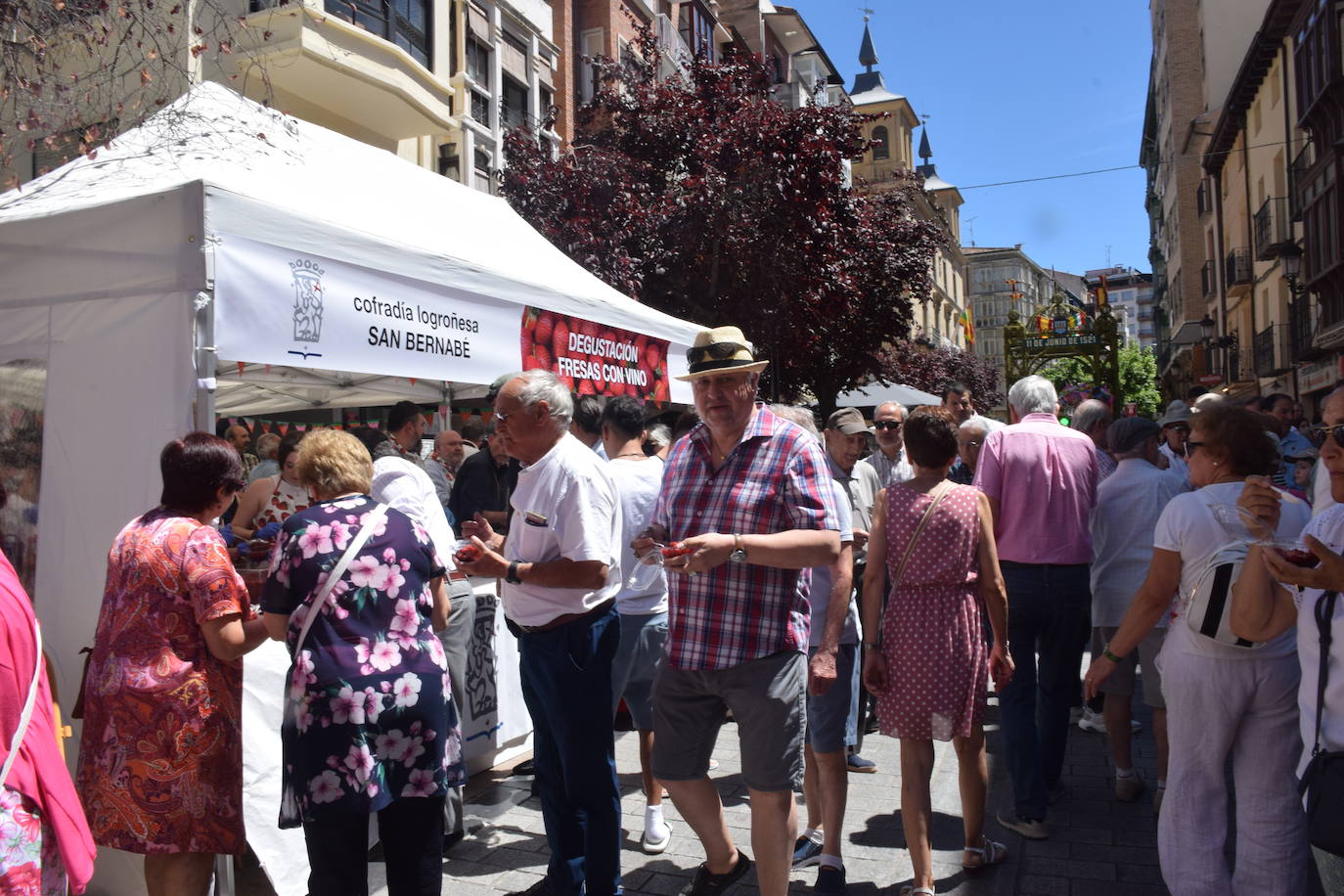 Organiza la Cofradía Logroñesa de San Bernabé.