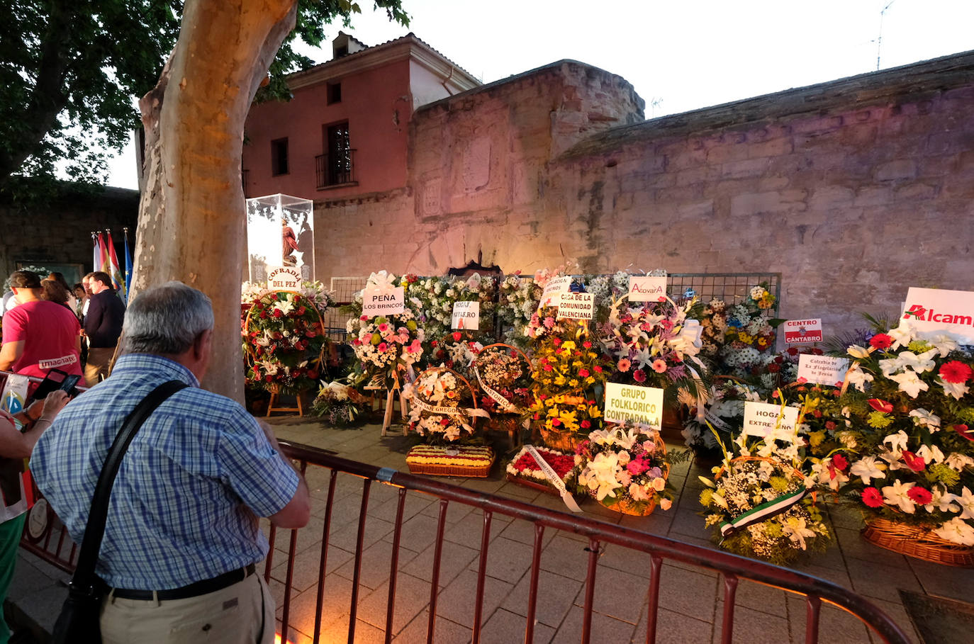 Fotos: Ofrenda floral por San Bernabé