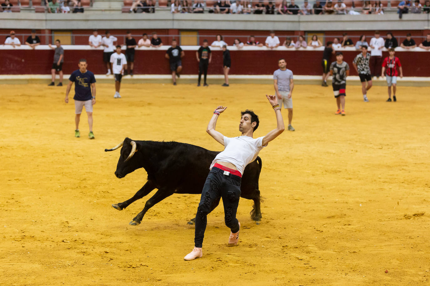 Fotos: El Voto de San Bernabé pasa por la plaza de toros