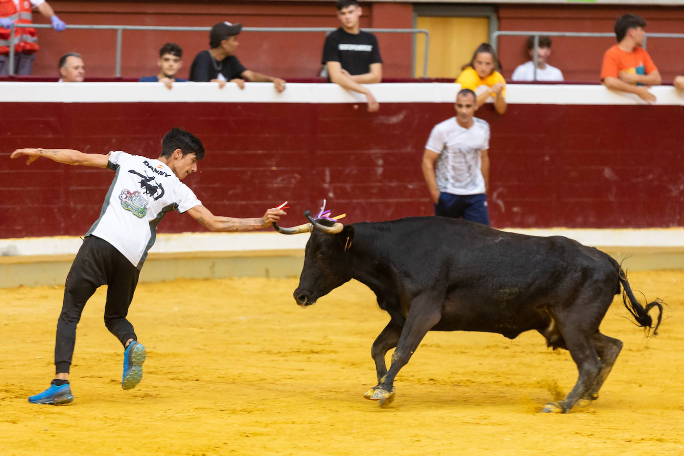 Fotos: El Voto de San Bernabé pasa por la plaza de toros