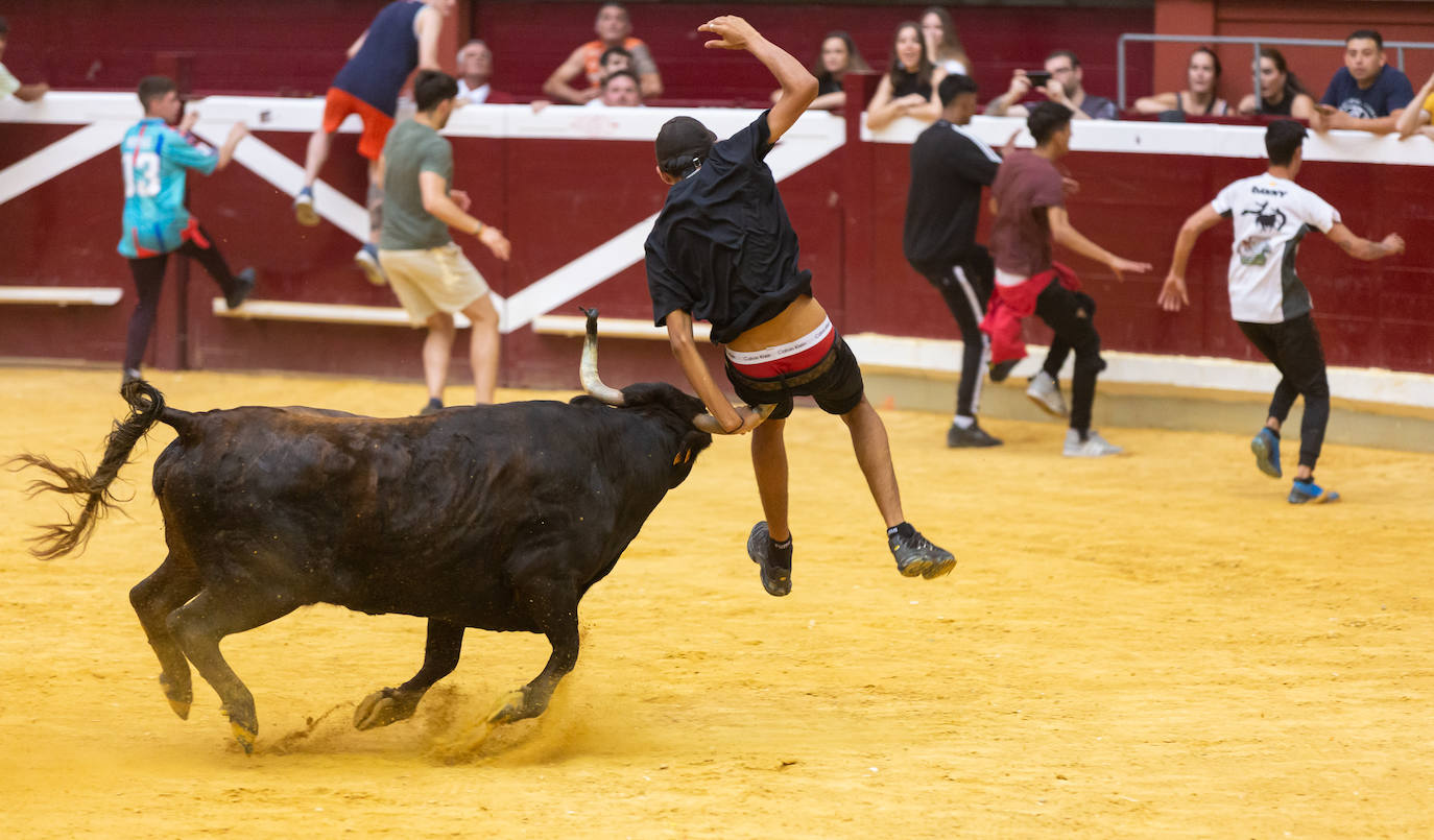 Fotos: El Voto de San Bernabé pasa por la plaza de toros