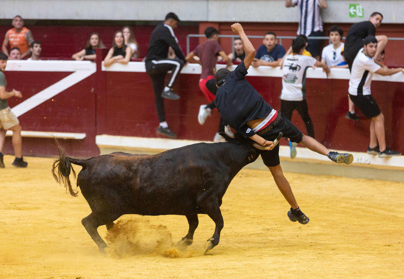 Fotos: El Voto de San Bernabé pasa por la plaza de toros