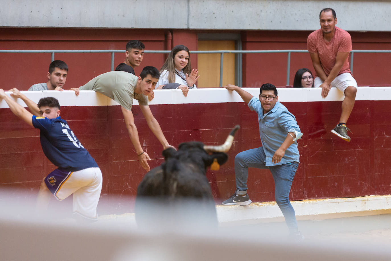 Fotos: El Voto de San Bernabé pasa por la plaza de toros