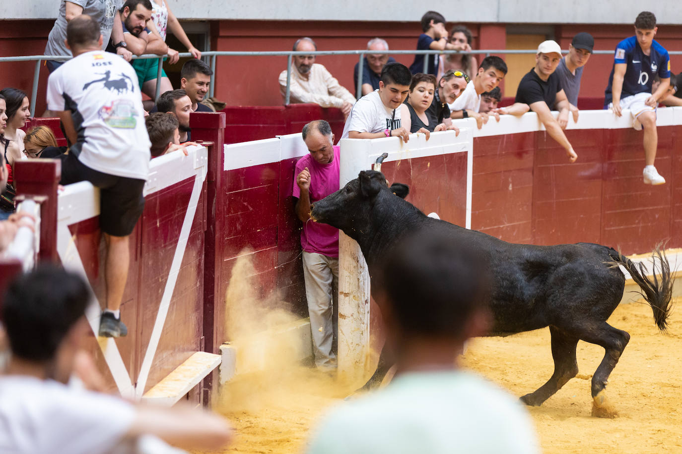 Fotos: El Voto de San Bernabé pasa por la plaza de toros