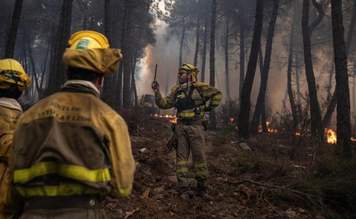 Uno de los equipos de bomberos que trabajan en el incendio de la Sierra de la Culebra, durante las labores de extinción.