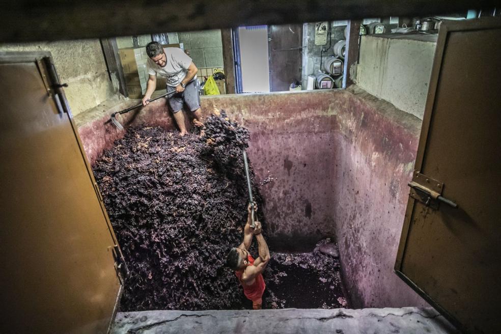 Álvaro García y José Luis Ruiz Bañares, en plena faena en el lago de fermentación de San Vicente. 