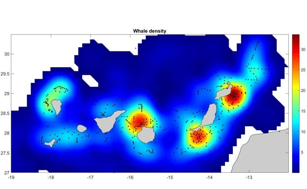 Mapa densidad balelenas Islas Canarias