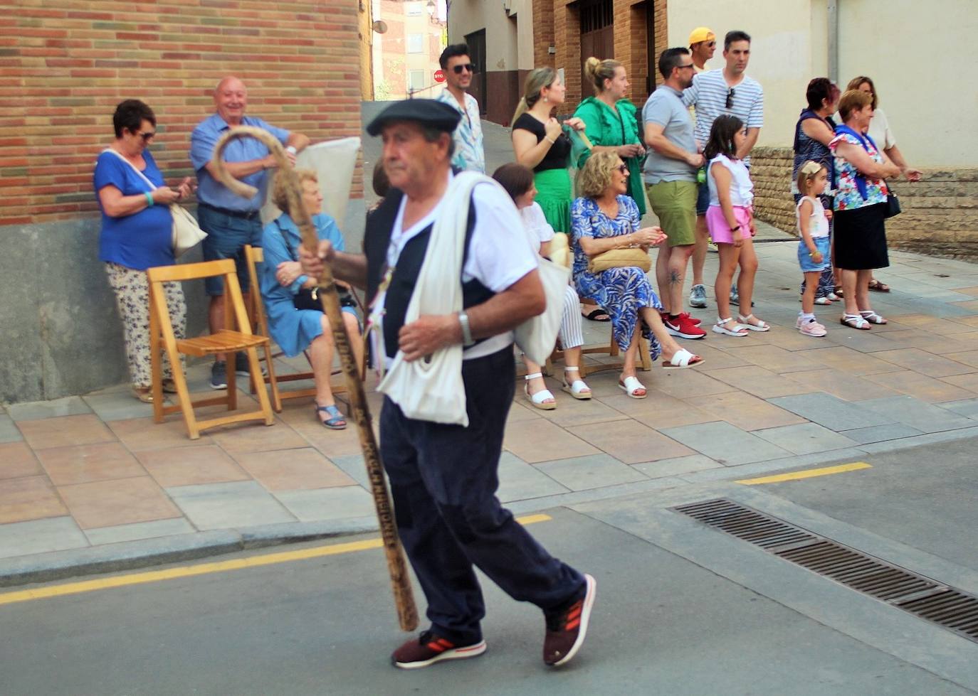 Fotos: Las carrozas de Lardero, en imágenes