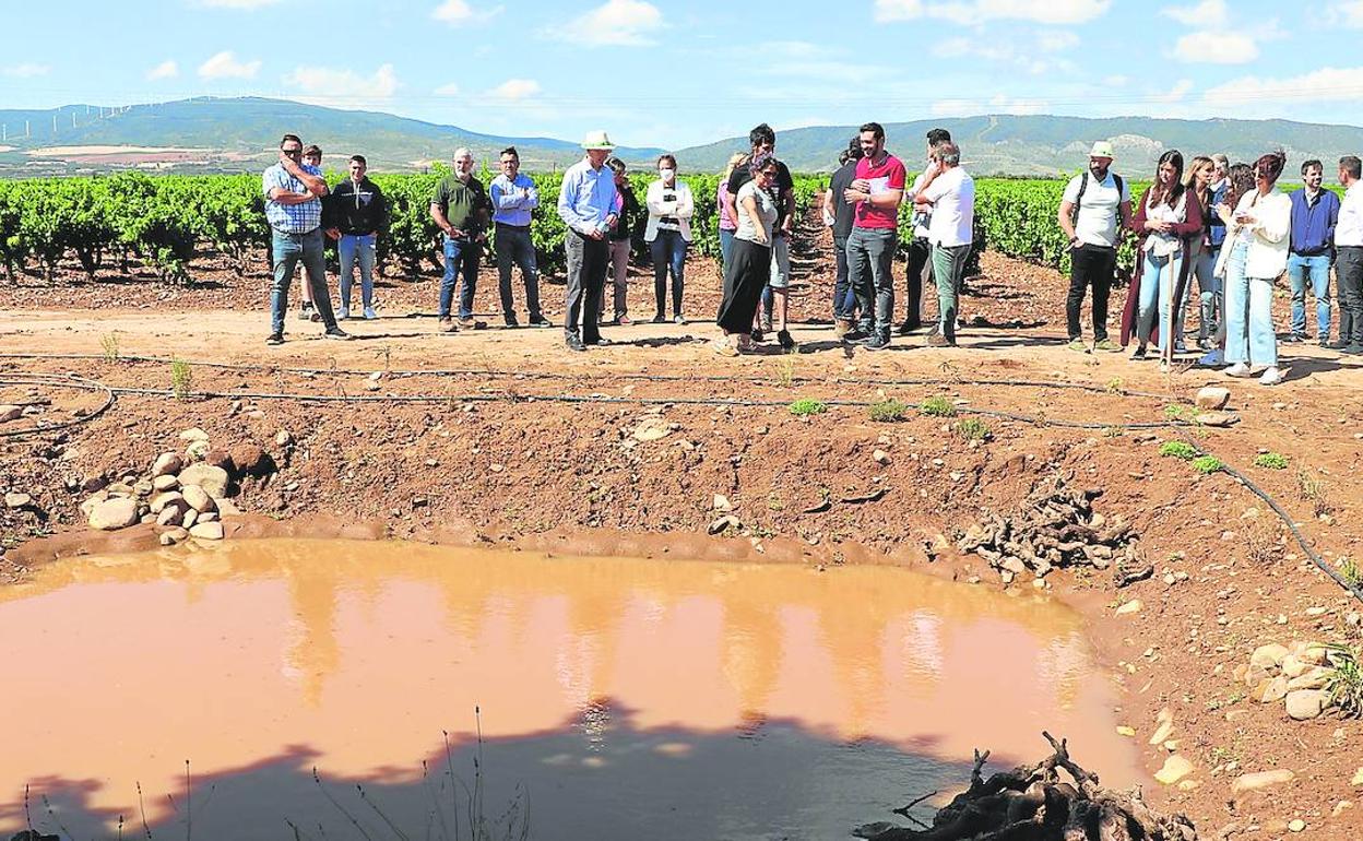 Reservar charcas en la finca generara hábitats naturales que atraen a diversas especies que favorecen la lucha natural contra plagas. 