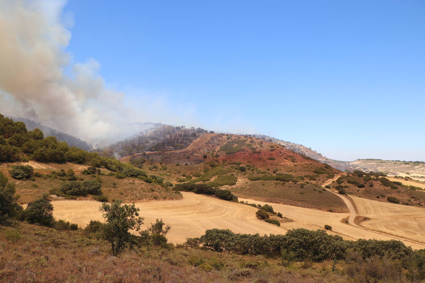 Fotos: Incendio en el monte Yerga en Alfaro y Grávalos